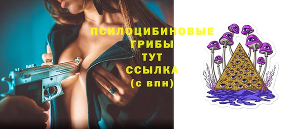 молекула духа Алексеевка