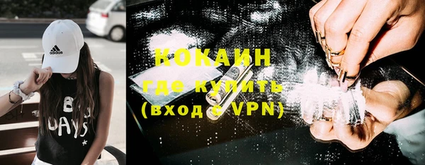 винт Алзамай