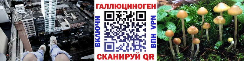 Галлюциногенные грибы мухоморы  блэк спрут ТОР  Анива 